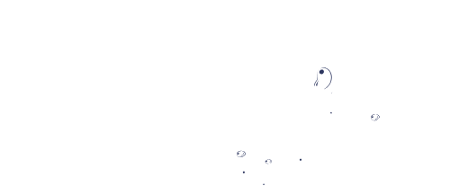 sharm dive experts (2)